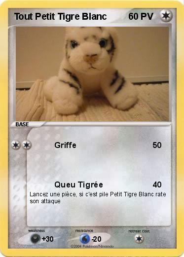 Pokemon Tout Petit Tigre Blanc