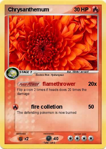 Pokemon Chrysanthemum