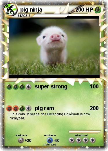 Pokemon pig ninja