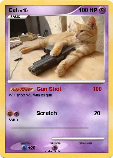 Pokemon Cat