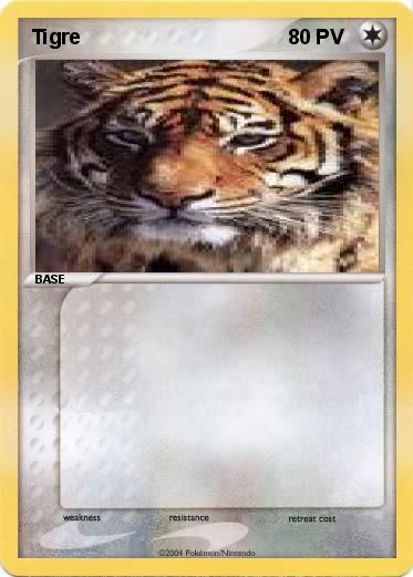 Pokemon Tigre 