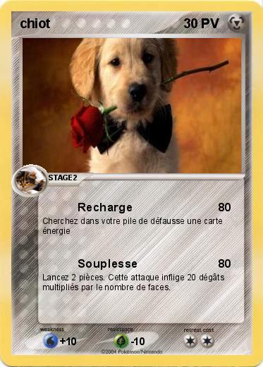 Pokemon chiot