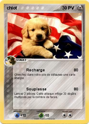 Pokemon chiot