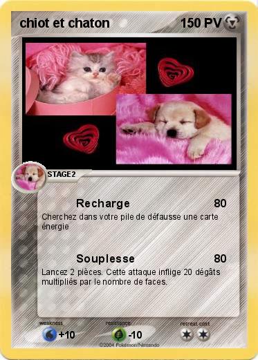 Pokemon chiot et chaton