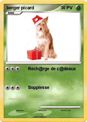 Pokemon berger picard