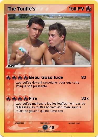 Pokemon The Touffe's
