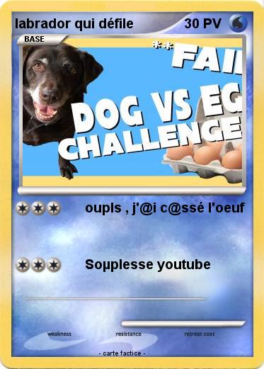 Pokemon labrador qui défile