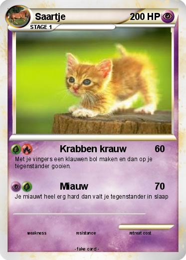 Pokemon Saartje