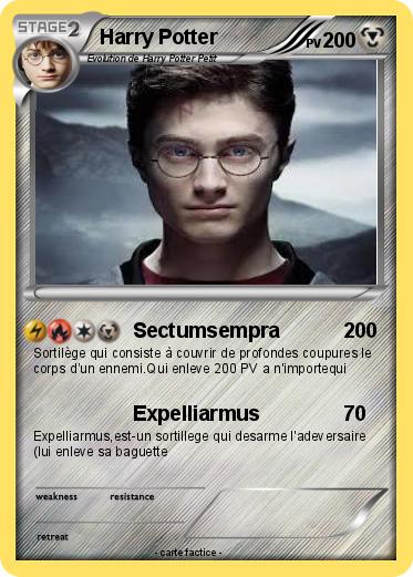 Pokemon Harry Potter