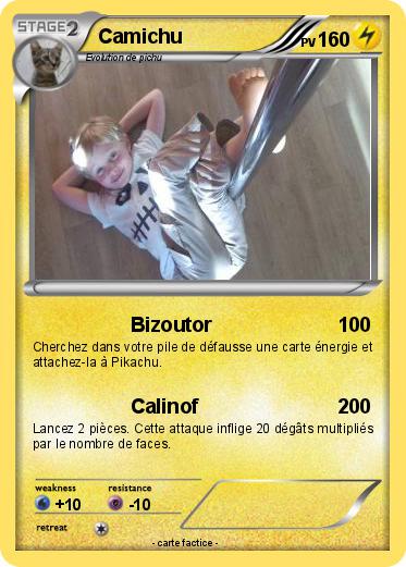 Pokemon Camichu