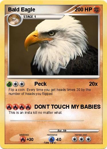 Pokemon Bald Eagle