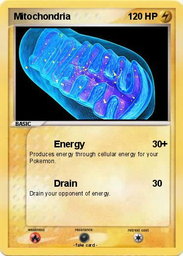 Pokemon Mitochondria