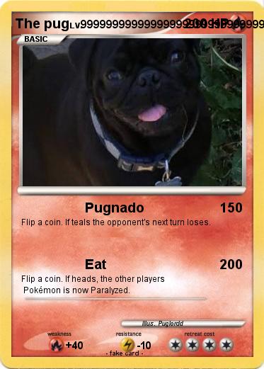 Pokemon The pug