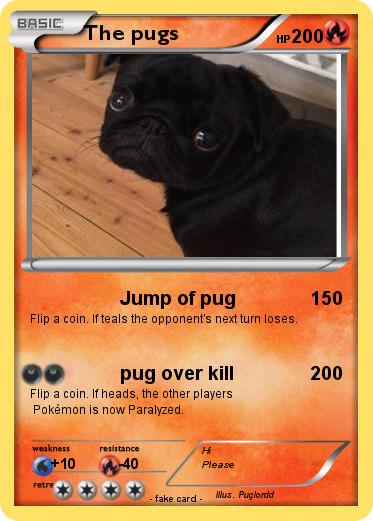 Pokemon The pugs