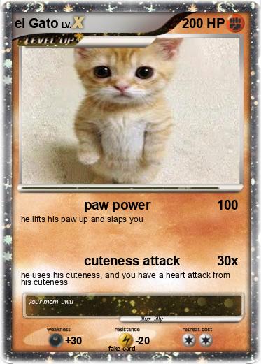 Pokemon el Gato