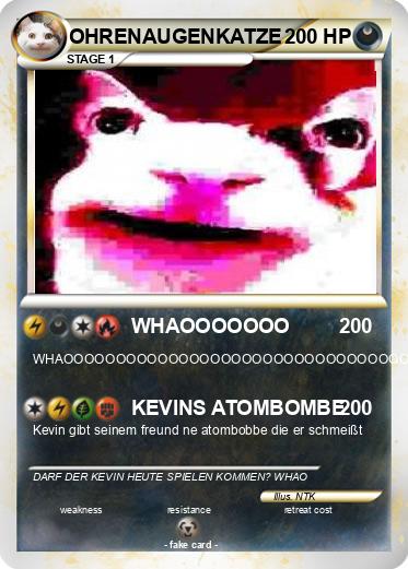 Pokemon OHRENAUGENKATZE