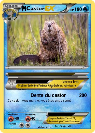 Pokemon Castor