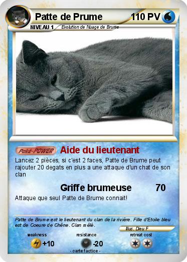 Pokemon Patte de Prume