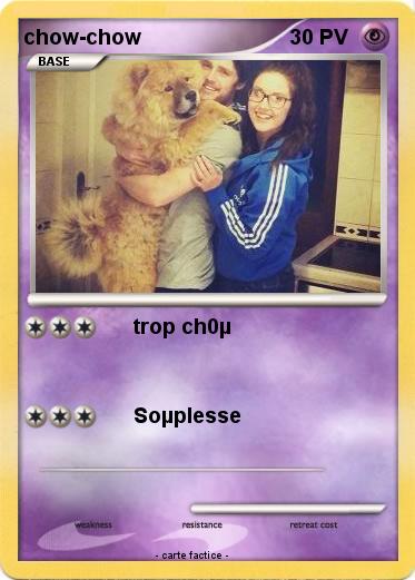 Pokemon chow-chow