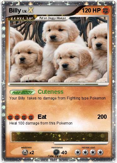 Pokemon Billy