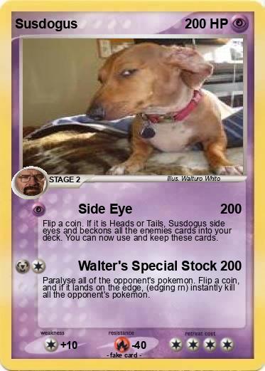 Pokemon Susdogus