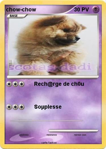 Pokemon chow-chow