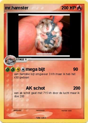 Pokemon mr.hamster