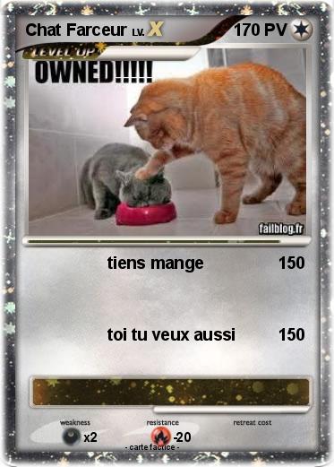 Pokemon Chat Farceur