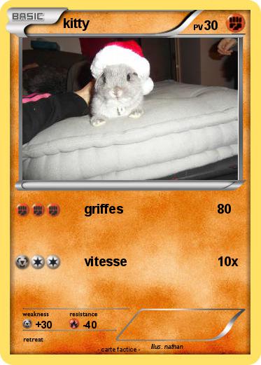 Pokemon kitty