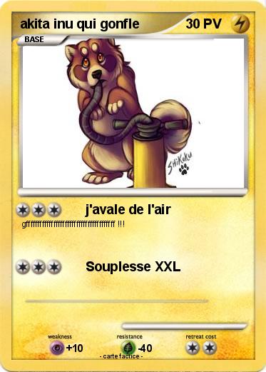 Pokemon akita inu qui gonfle