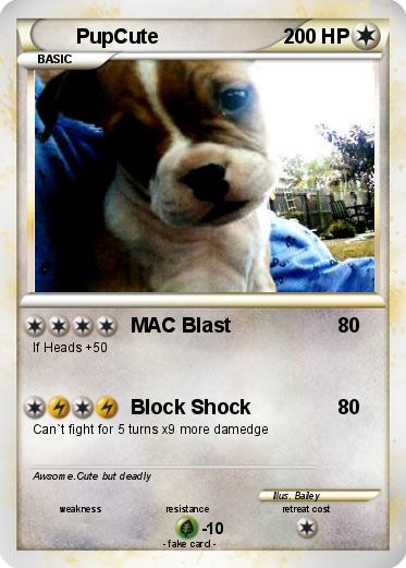 Pokemon PupCute