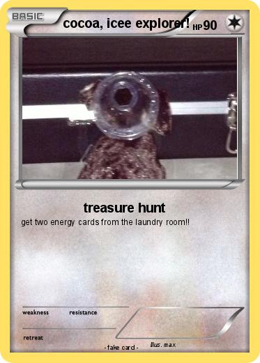 Pokemon cocoa, icee explorer!