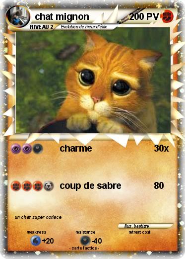 Pokemon chat mignon