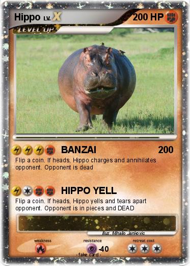 Pokemon Hippo