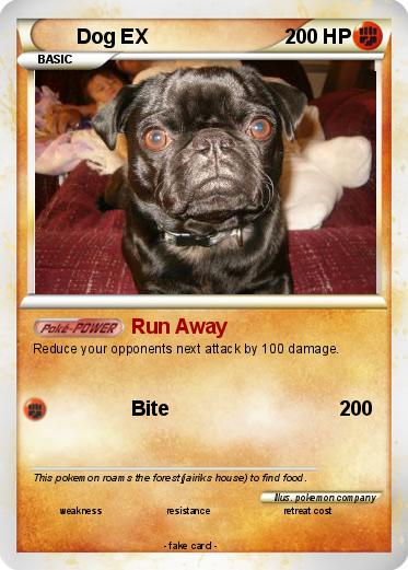 Pokemon Dog EX