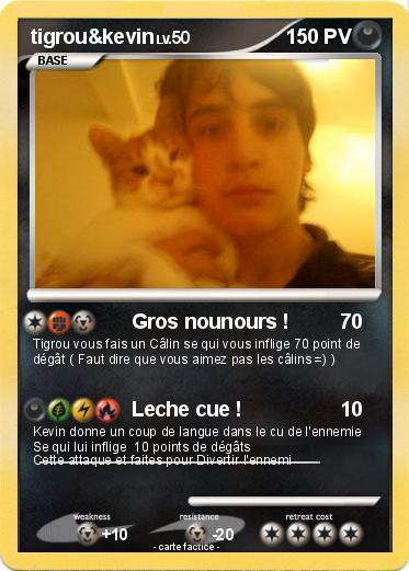 Pokemon tigrou&kevin