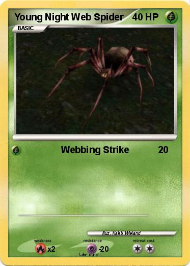 Pokemon Young Night Web Spider