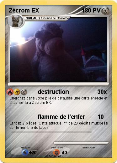 Pokemon Zécrom EX