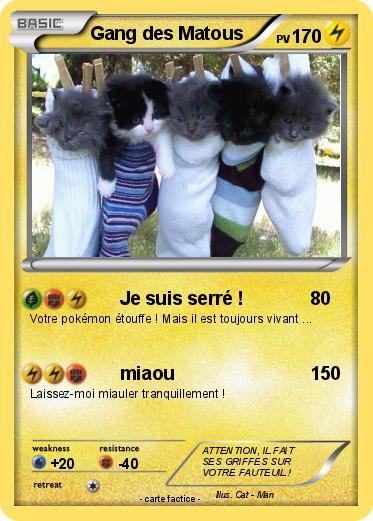 Pokemon Gang des Matous