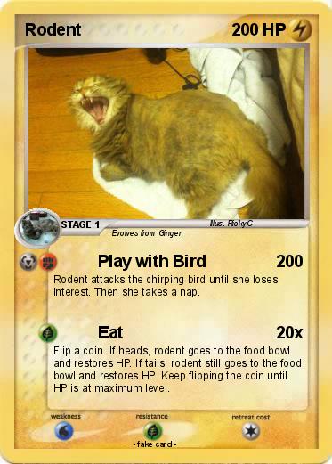 Pokemon Rodent