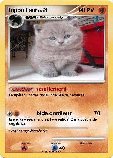 Pokemon fripouilleur