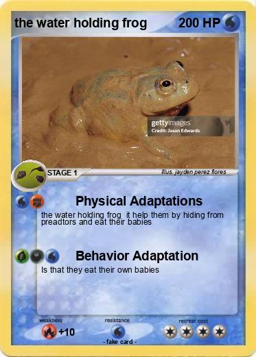 Pokemon the water holding frog