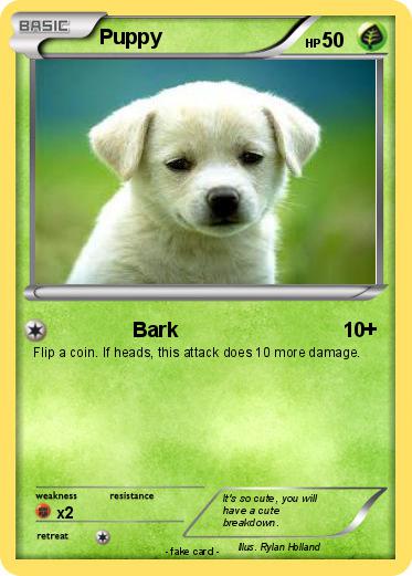Pokemon Puppy
