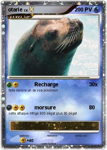 Pokemon otarie