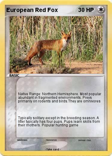 Pokemon European Red Fox