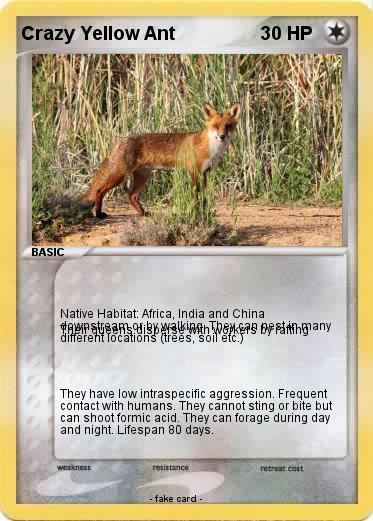 Pokemon Crazy Yellow Ant