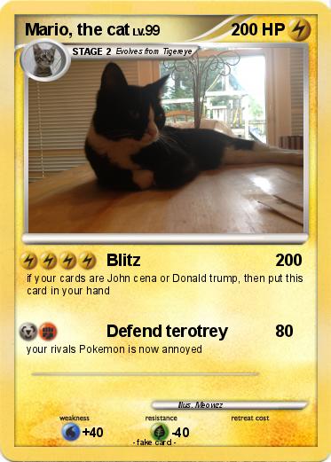 Pokemon Mario, the cat
