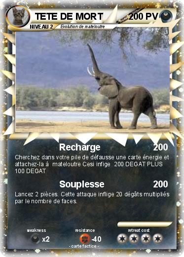 Pokemon TETE DE MORT
