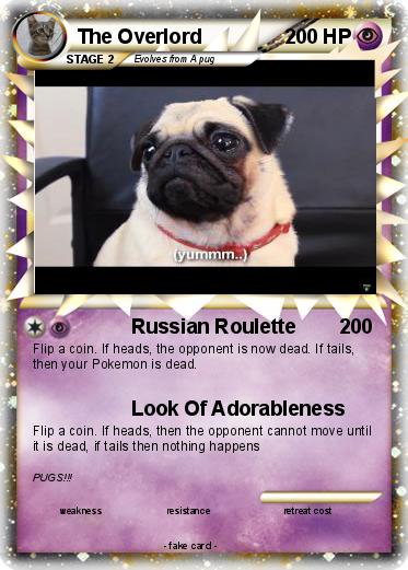 Pokemon The Overlord