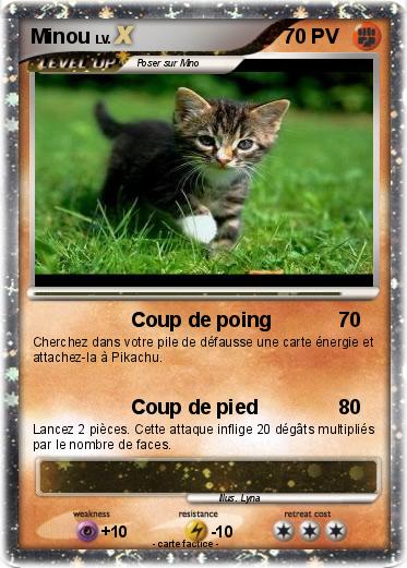 Pokemon Minou